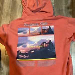 Patagonia National Geographic hoodie- Medium but is on the smaller side